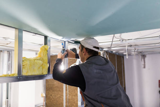 Best Insulation Replacement Services  in Lincoln Park, NY