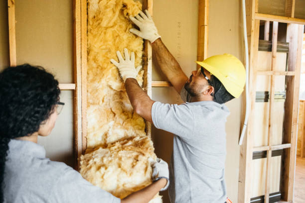 Best Insulation Contractors for Homes  in Lincoln Park, NY