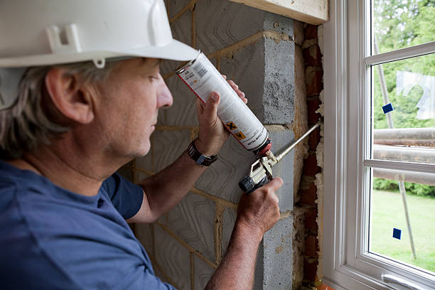 Best Insulation for New Construction  in Lincoln Park, NY